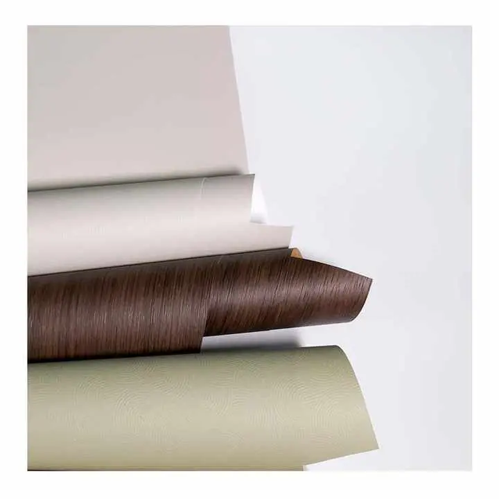 Kodėl PP namų ūkio filmas tampa protingu modernių namų pasirinkimu?